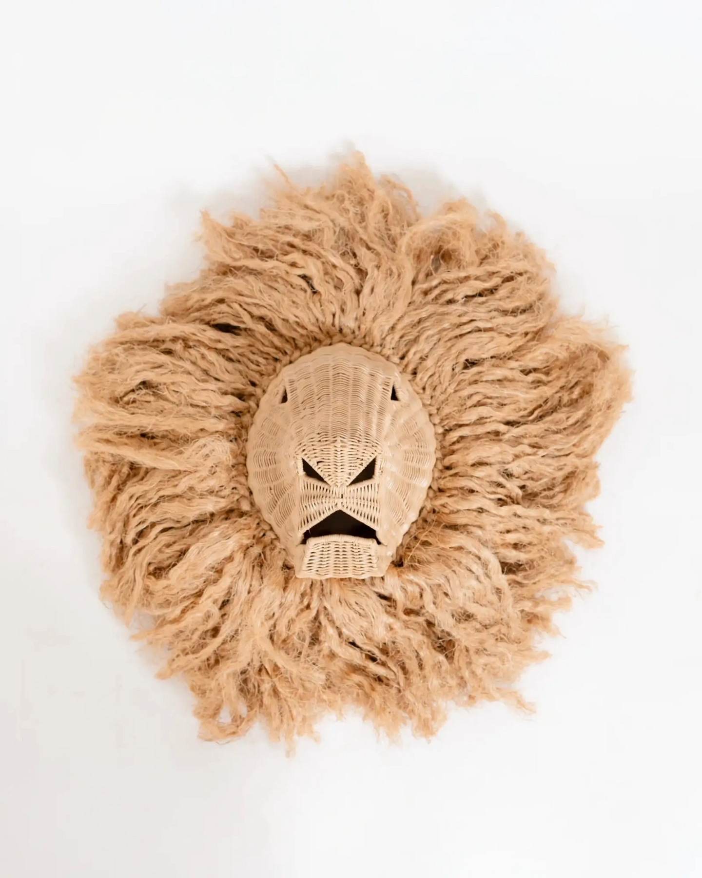 Leo the Handsome Lion Wall Decor